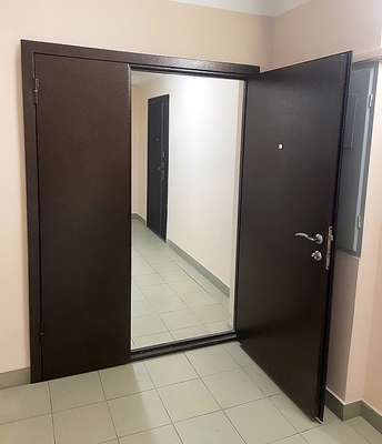 Тамбурная порошковая дверь Тамбурная порошковая дверь