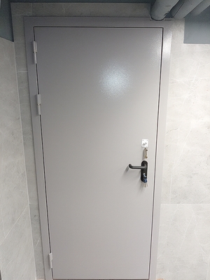 Металлическая глухая дверь