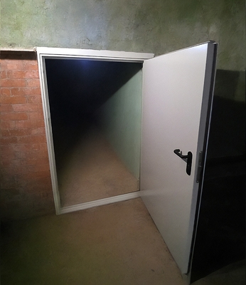 Нестандартная дверь в подвал