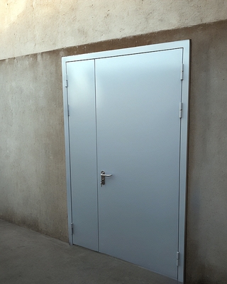 Глухая полуторная дверь