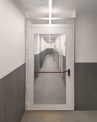 Дверь eiw антипаника