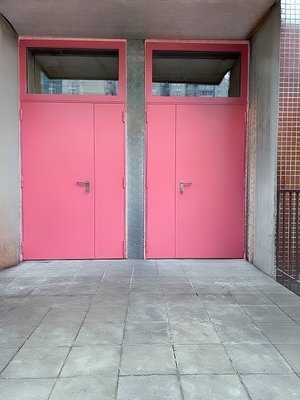 Огнестойкие двери в подъезде Огнестойкие двери в подъезде